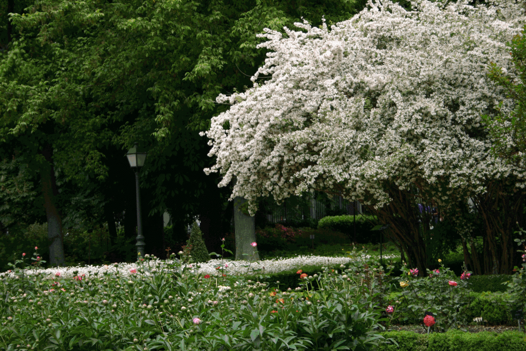 Royal Botanic Garden of Madrid, Spain