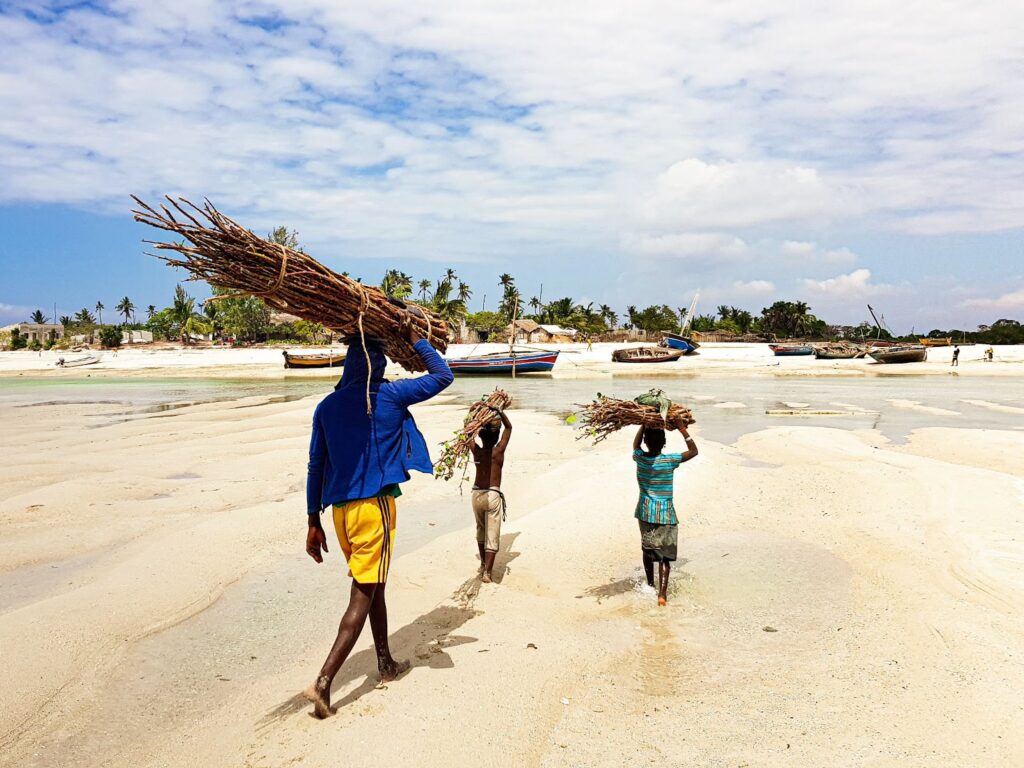 10 Day Program in Mozambique Culture Bush Beach