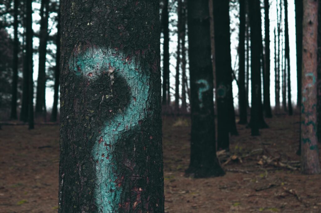 Tree with question mark graffitied on it